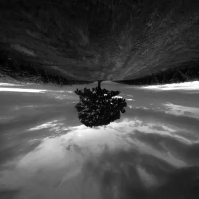 Listen to No Name by Oleg Byonic