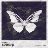 I Will Try (Leo Portela Remix) artwork