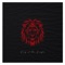 King of the Jungle - Vin Jay lyrics
