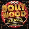 The Bollywood Remix Project 2017 - Various Artists