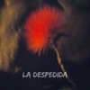 La Despedida - Single