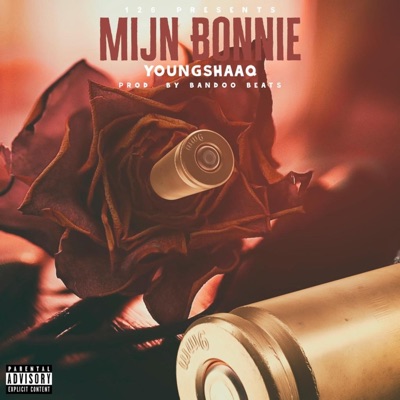 Mijn Bonnie - Single