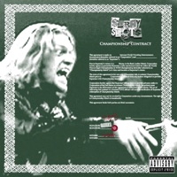 Stray Shots - Single - enzokicksdoors