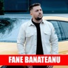 Sufletul Si Banii - Single