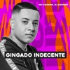 Gingado Indecente - Single