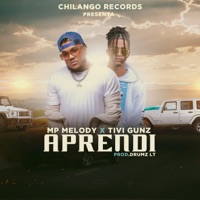 Aprendí (feat. Tivi Gunz) - Single - Mp Melody