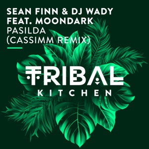 Pasilda (feat. MoonDark) [CASSIMM Radio Edit]