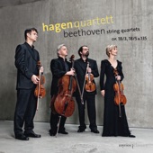 String Quartet No. 16 in F Major, Op. 135: I. Allegretto artwork