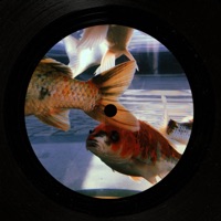 Tube - Single - D.K.denz