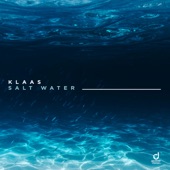 Salt Water (Extended Mix) artwork