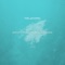 Aerith's Theme (From 