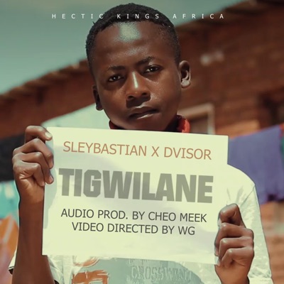 Tigwilane (feat. Dvisor) - Single