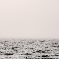 Arctic Waves - Single - Human Is Alive