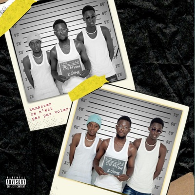 Ramasser ce n'est pas voler (feat. Zoume) - Single