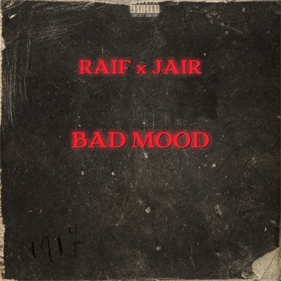 Bad Mood (feat. Jair) - Single