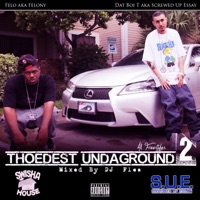 FREESTYLE (feat. Lucky Luciano & Dat Boi T) - Single - Felo aka Felony