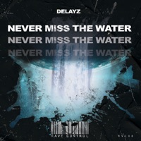 Never Miss the Water - Single - Delayz