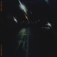 Grey Delay (Single Version) - L.M. Brenner