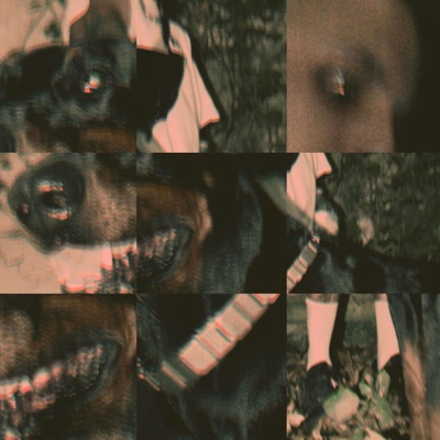 Dawa (feat. Oz) - Single