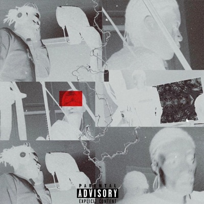 DVD (feat. Spacejam Rocco) - Single
