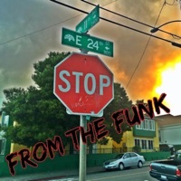 From Da Funk - Single - 1100 Himself