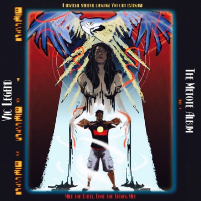 The Metote Album
