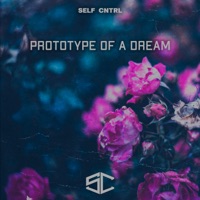 Prototype of a Dream - SELF CNTRL