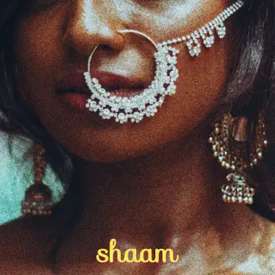 Listen to Shaam - Single by Satyum