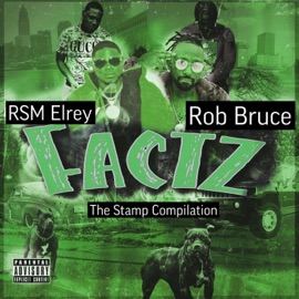 Factz (feat. RSM Elrey & Rob Bruce) [Radio Edit] The Stamp Compilation