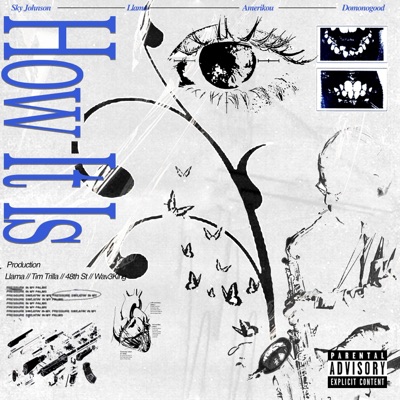 How It Is (feat. Domonogood & Amerikou) - Single