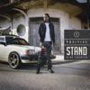 Positive - Rise Again (feat. DJ Nicholas)
