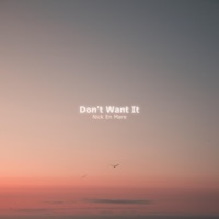 Don't Want It - Single - Nick En Mare