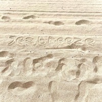 Seabreeze (feat. Austyn With a Y) - Single - Mikie Mayo