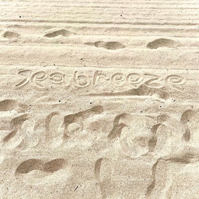 Seabreeze (feat. Austyn With a Y) - Single