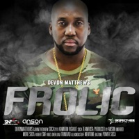 Frolic - Single - Anson, Devon Matthews & Simply Natural Family