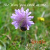 The Way You Look at Me - Single