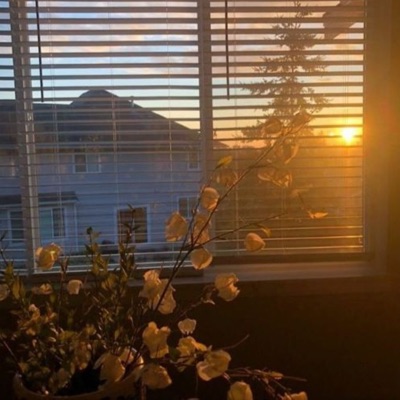 Trust Issues - Single