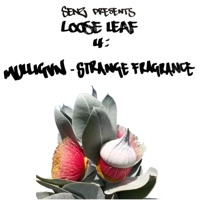 Strange Fragrance (feat. Mulligvn) - Single - Senz Beats