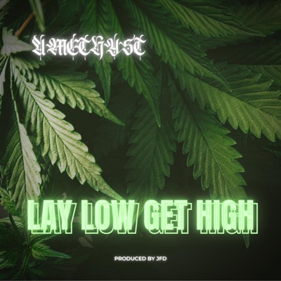 Lay Low Get High - Single