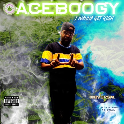 I Wanna Get High - Single