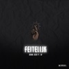 Feitelijk (feat. BF) - Single