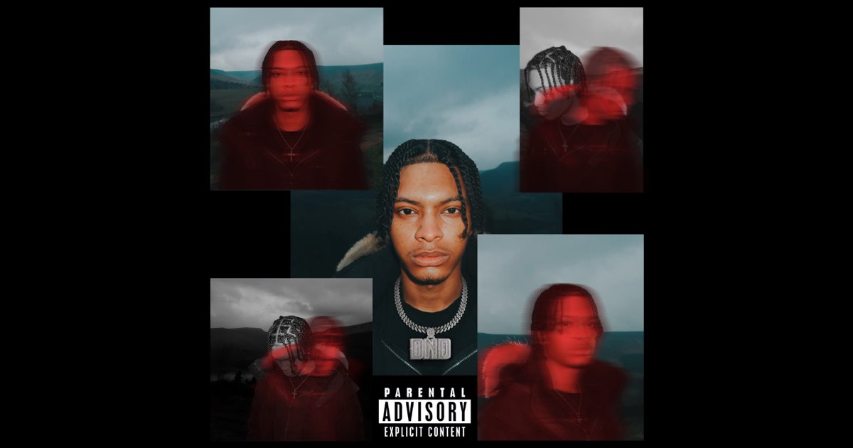 DO NOT DISTURB (DELUXE) - Nemzzz