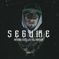 Seguiré - Single - Antonio Soto & Los Del Kingdom
