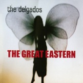 The Delgados - Knowing When to Run