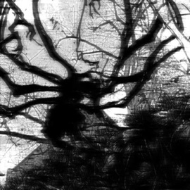 Katalave Me ⚔ N1KT0