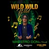 Wild Wild Wild - Single