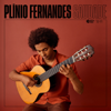 Aquarela do Brasil (Arr. for Guitar by Sérgio Assad) - Plínio Fernandes