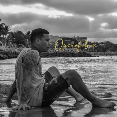 Querofobia (feat. Hit Music Tv) - Single