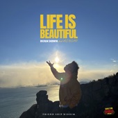 LIFE IS BEAUTIFUL (feat. NG HEAD) artwork