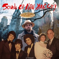 Sounds of New York City - Netherfriends